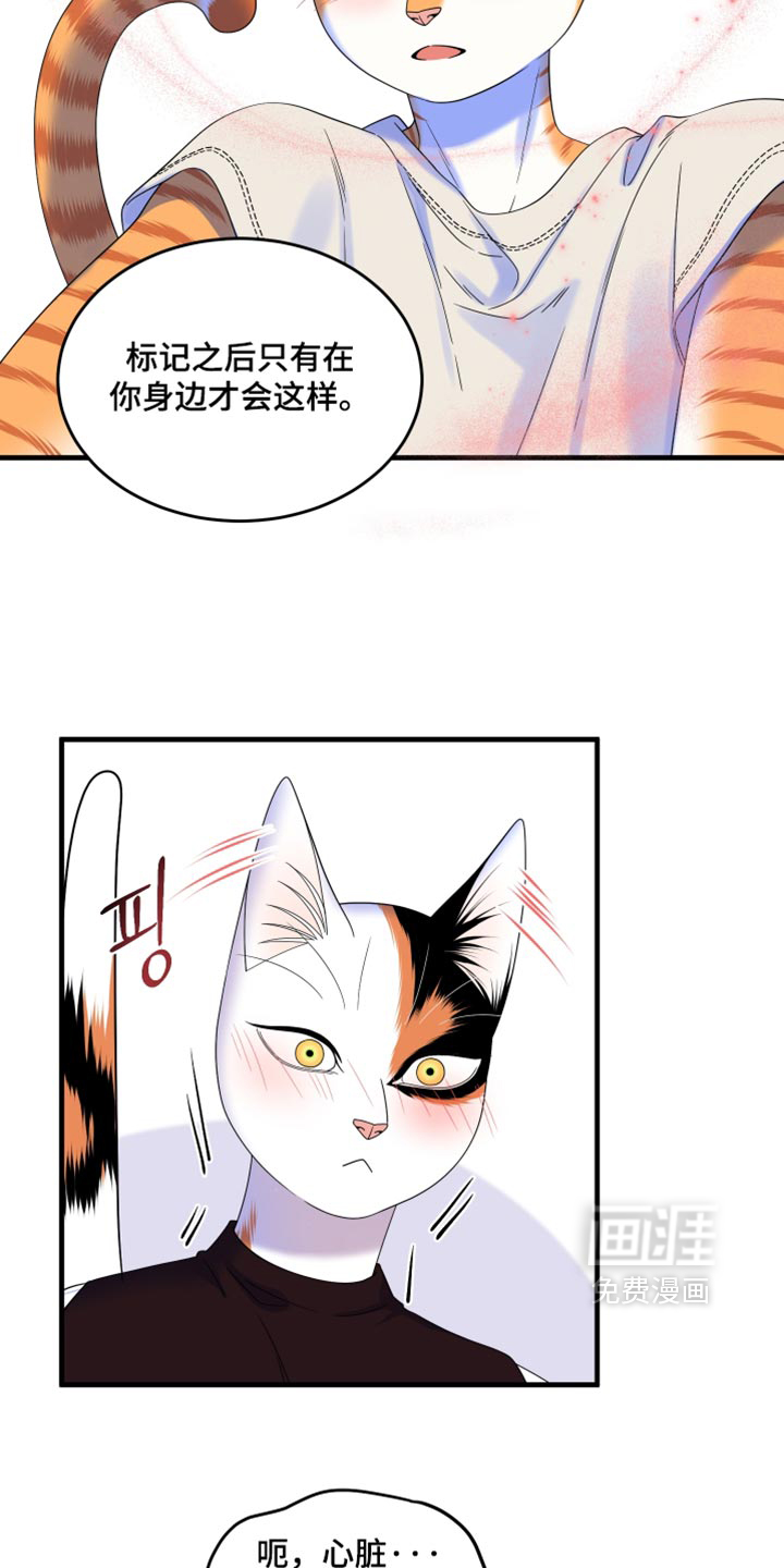第221话11
