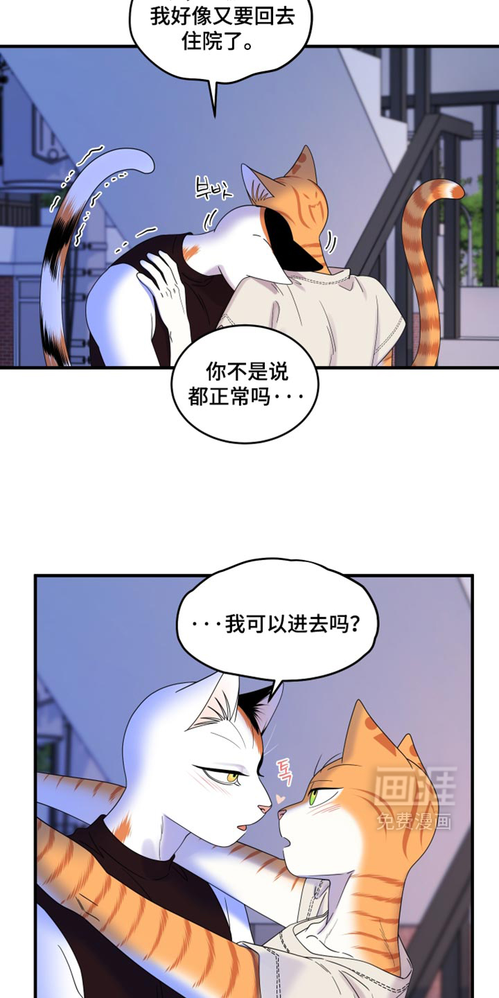 第221话12