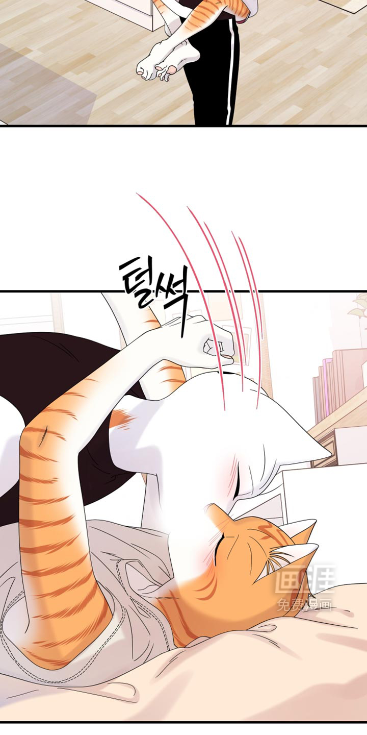 第221话14