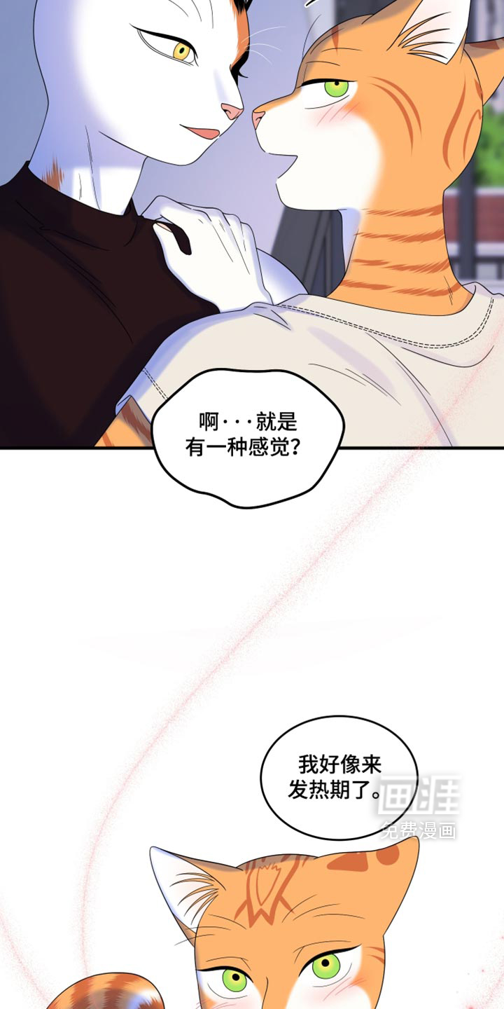 第221话10