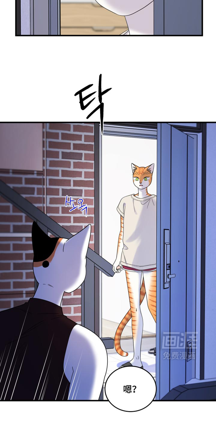 第221话5