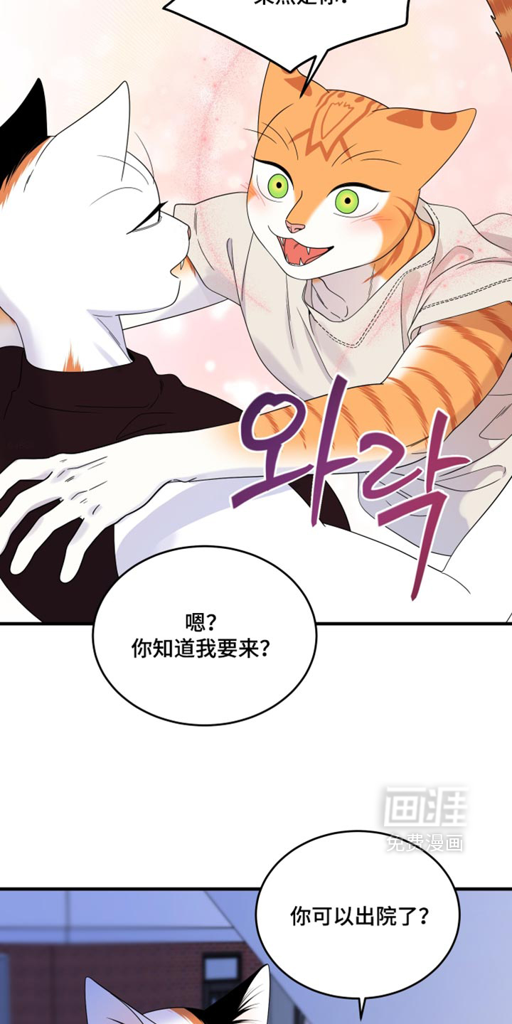 第221话7