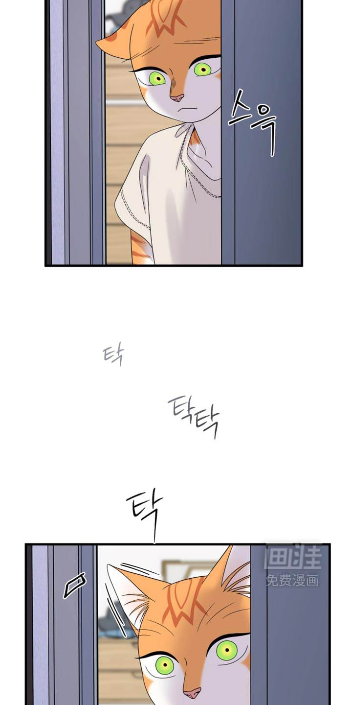 第221话4