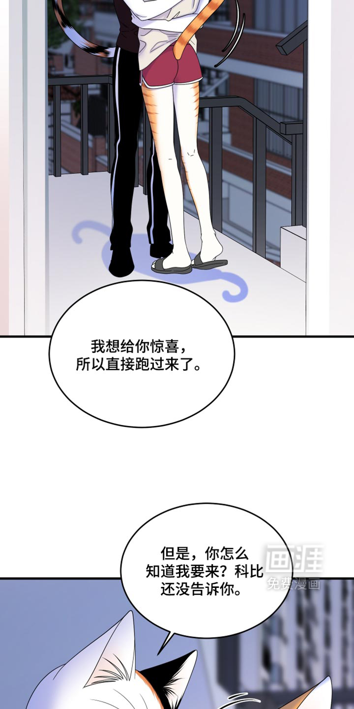 第221话9