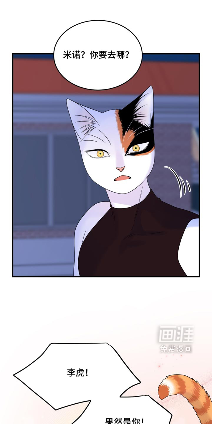 第221话6