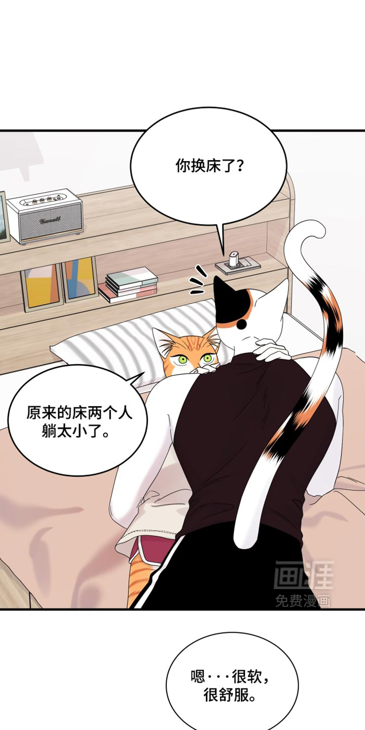 第221话16
