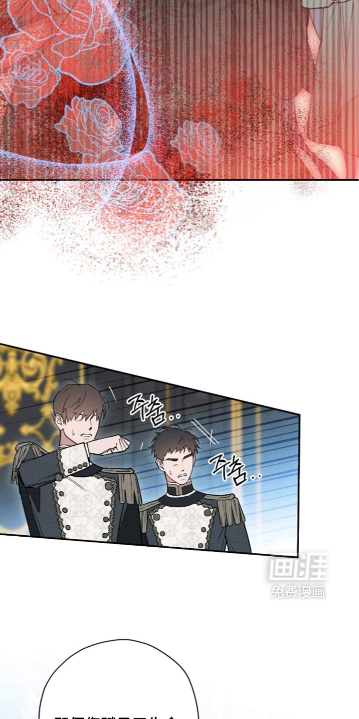 第228话25