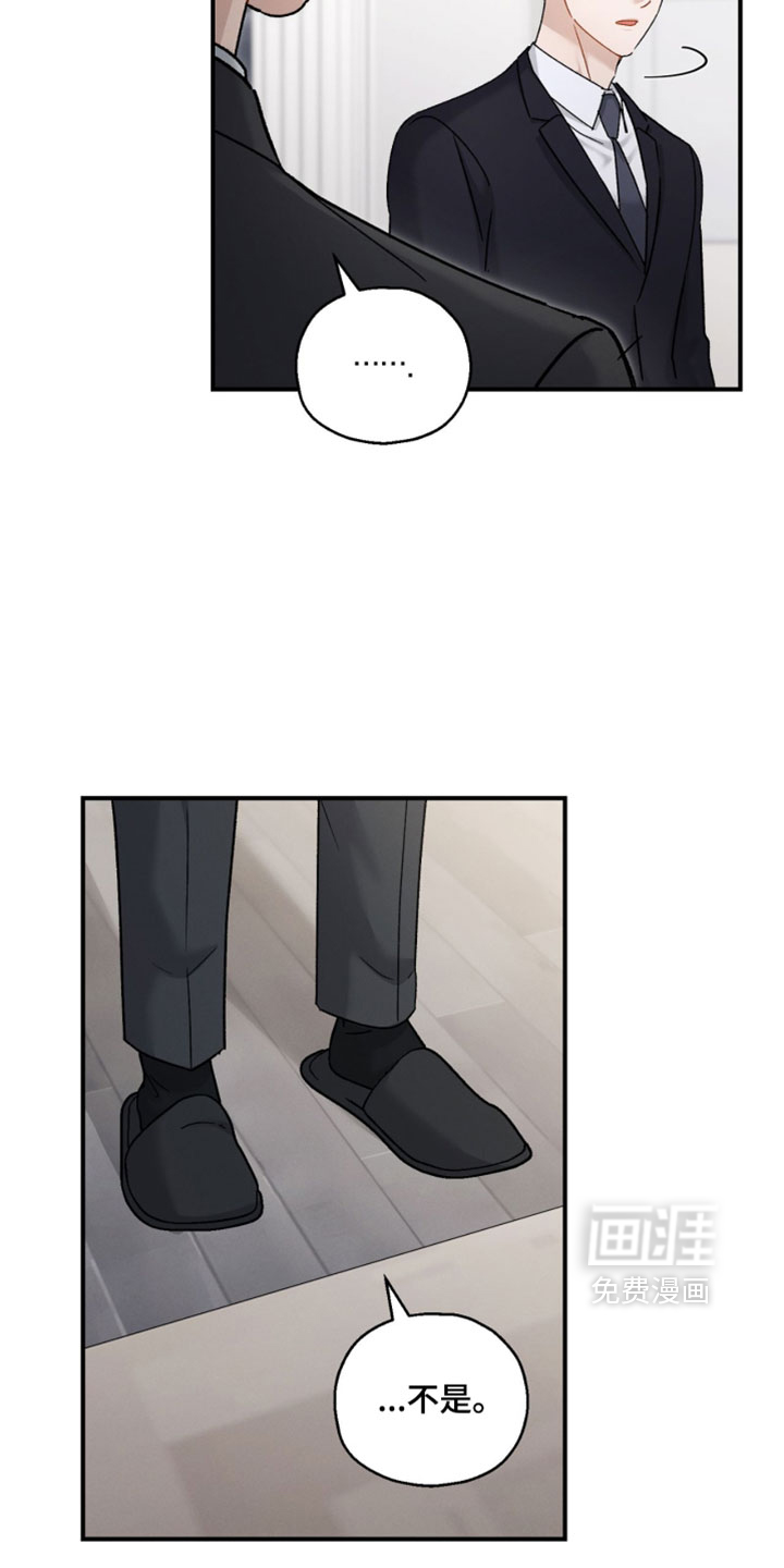 第210话11