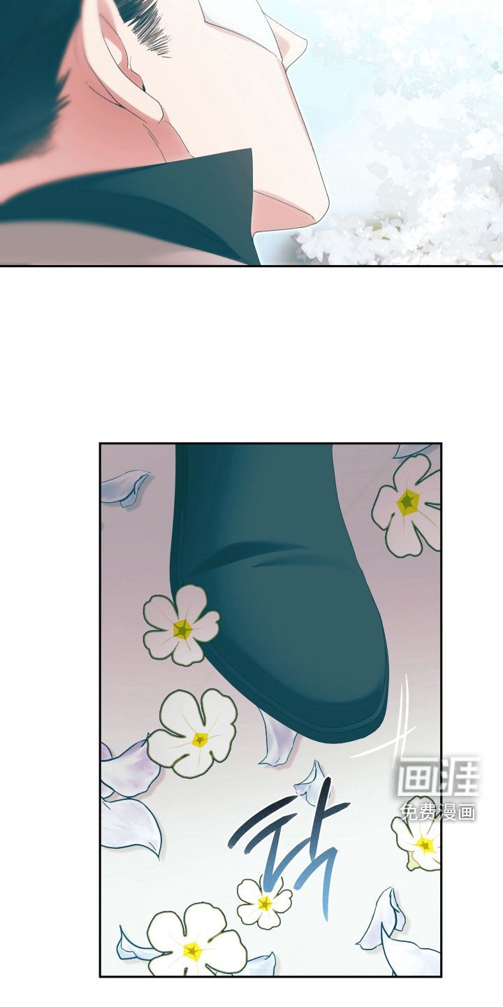 第31话 第17页