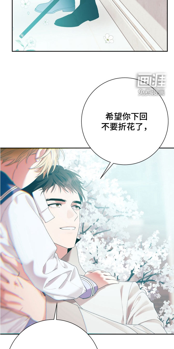 第31话 第31页