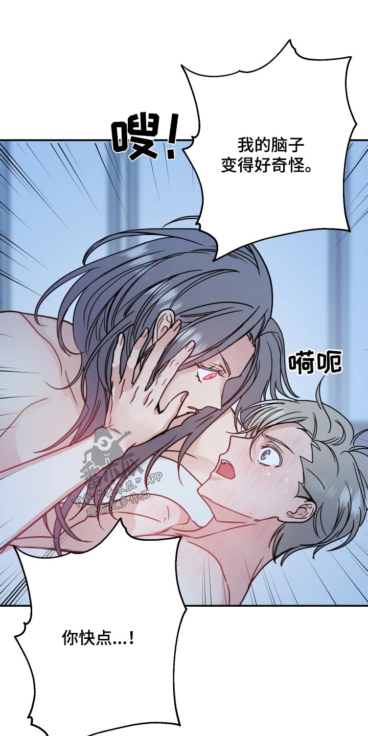 第50话11