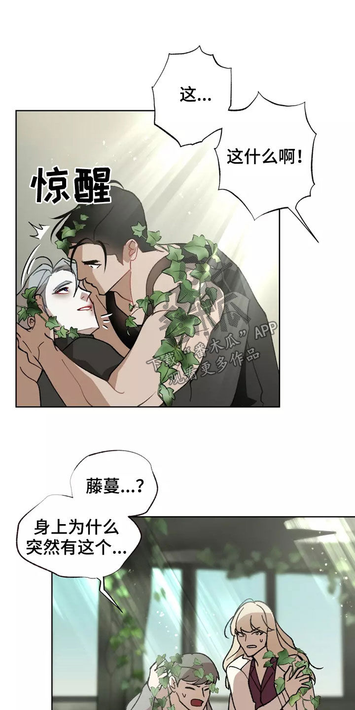 第62话 第17页
