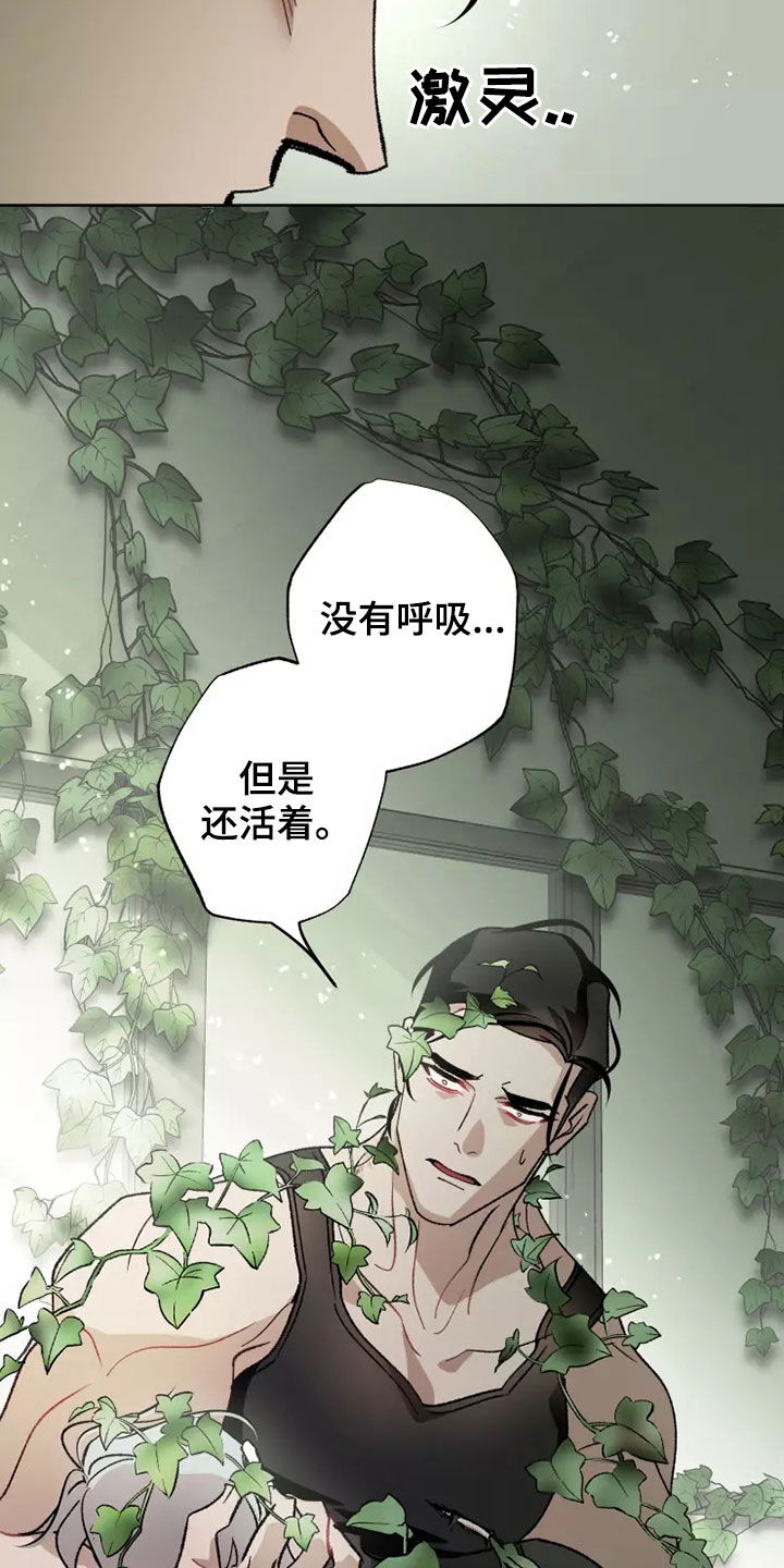 第61话 第19页
