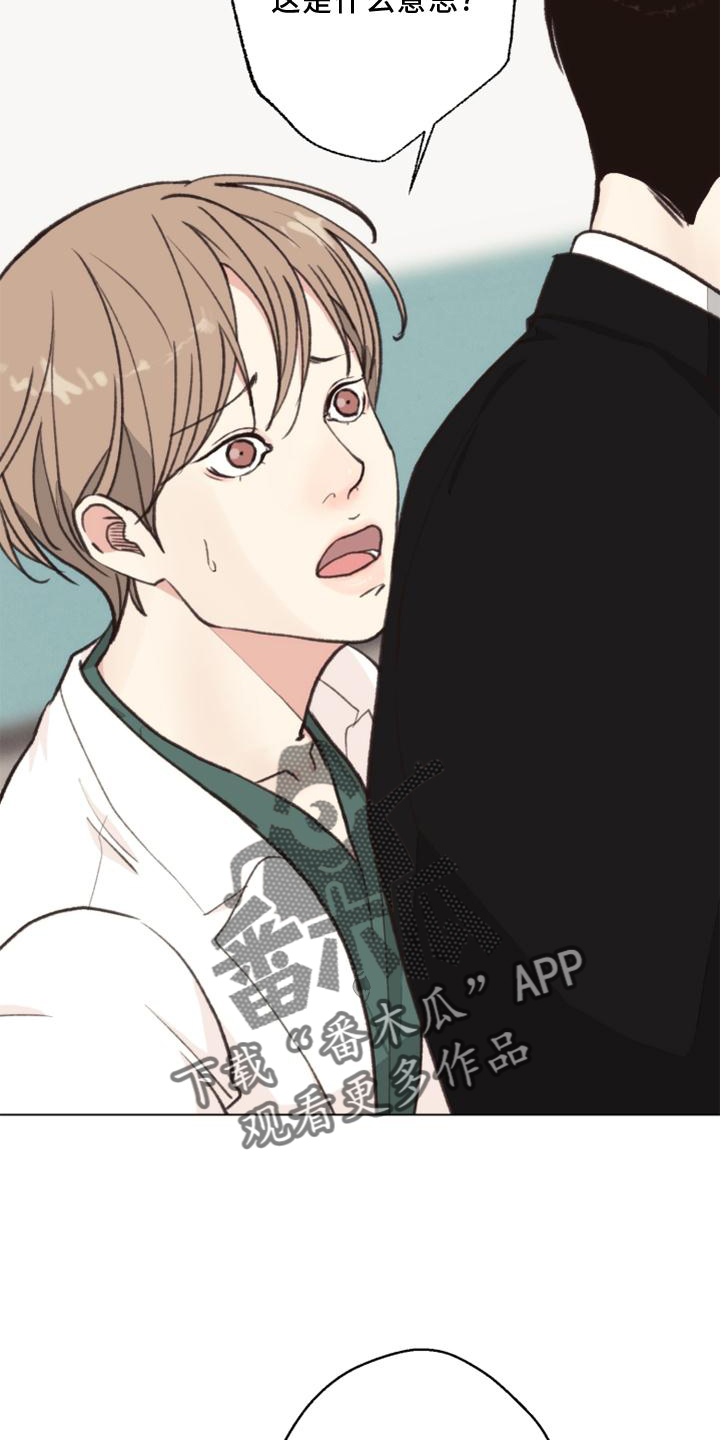 第126话 第11页