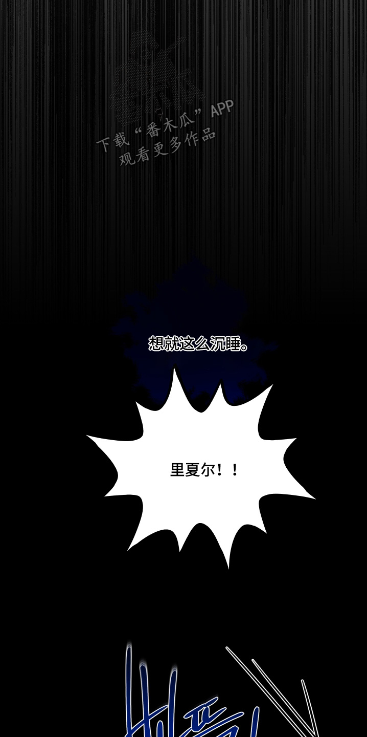 第146话12