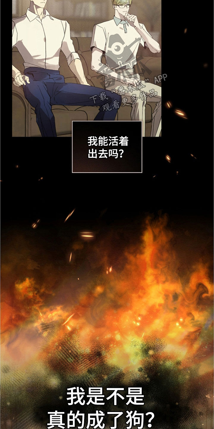 第80话11
