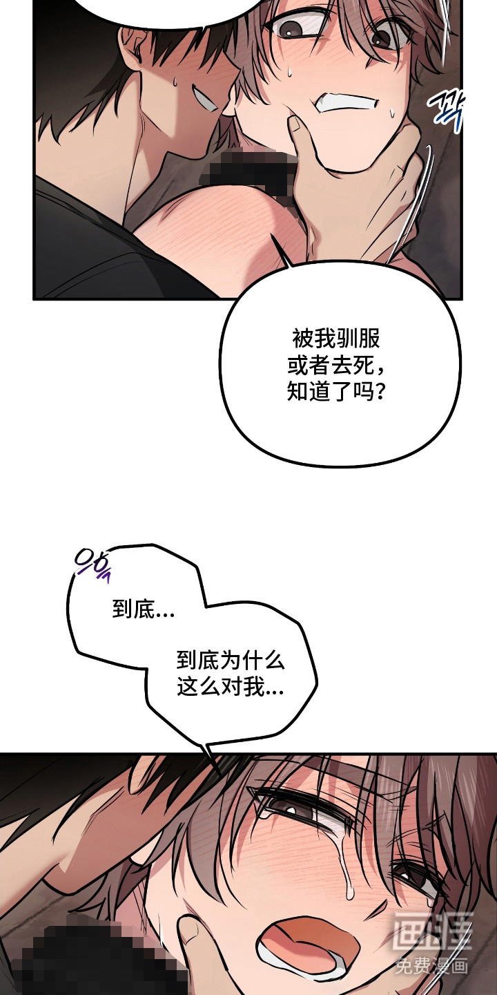 第5话11