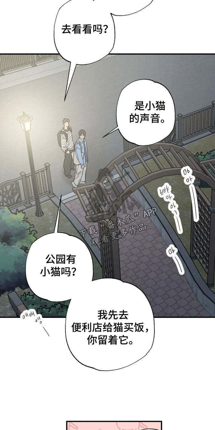 第48话 第11页