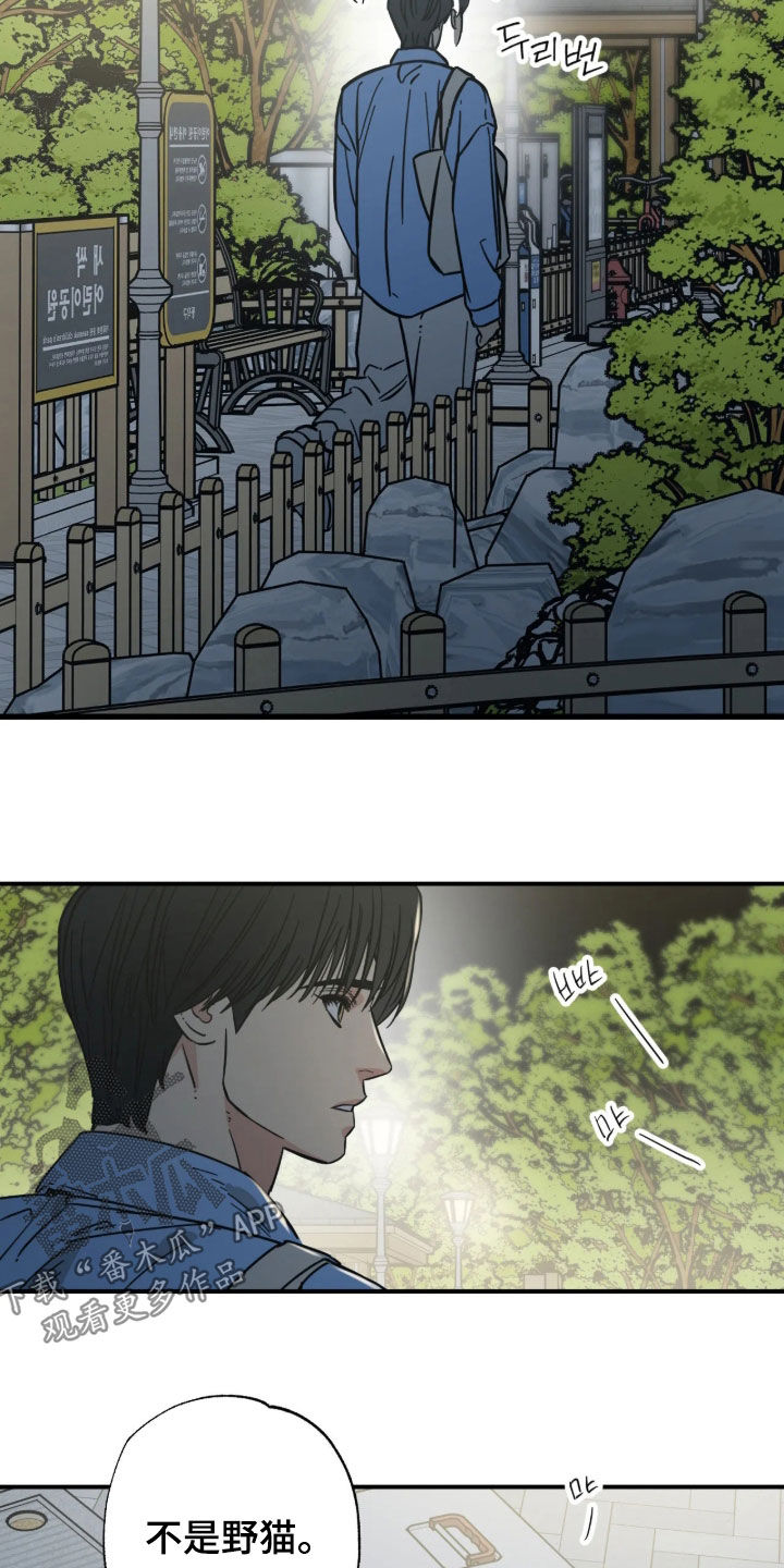第48话 第13页