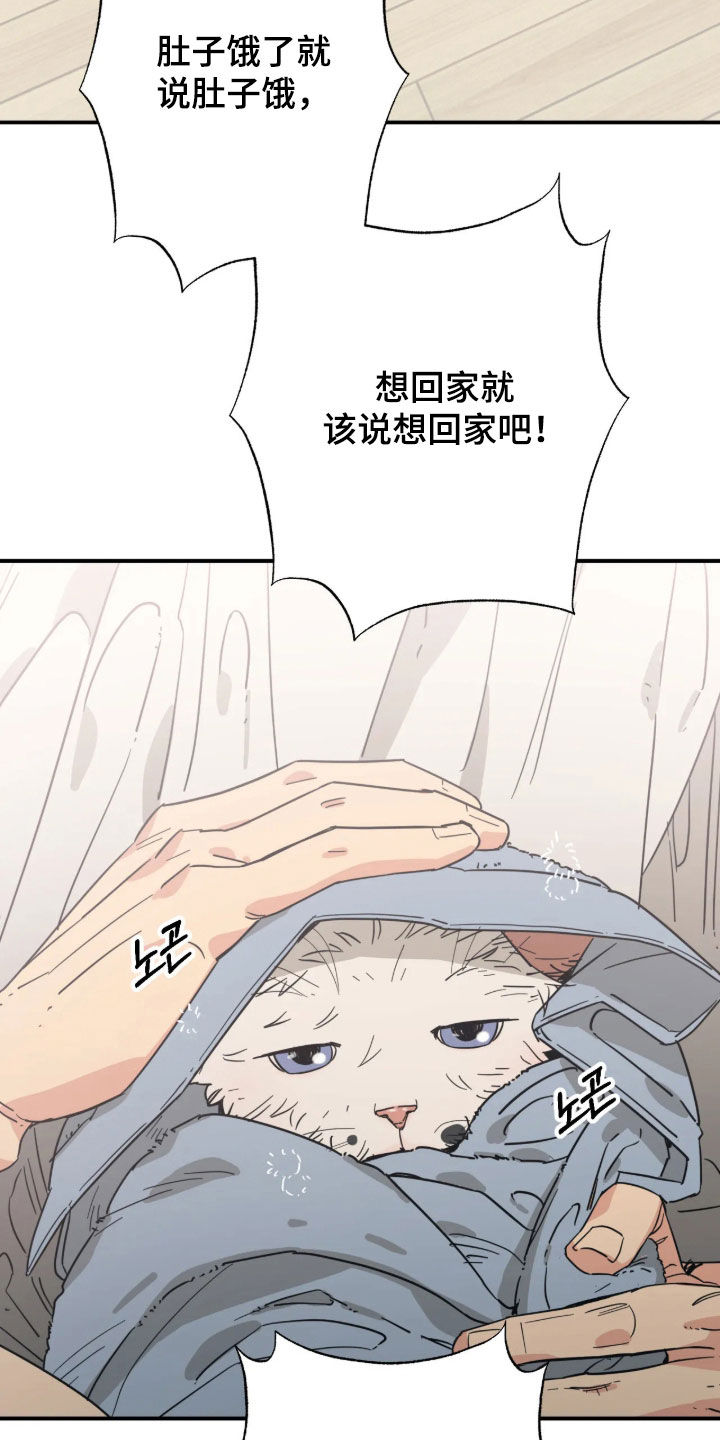 第47话 第2页