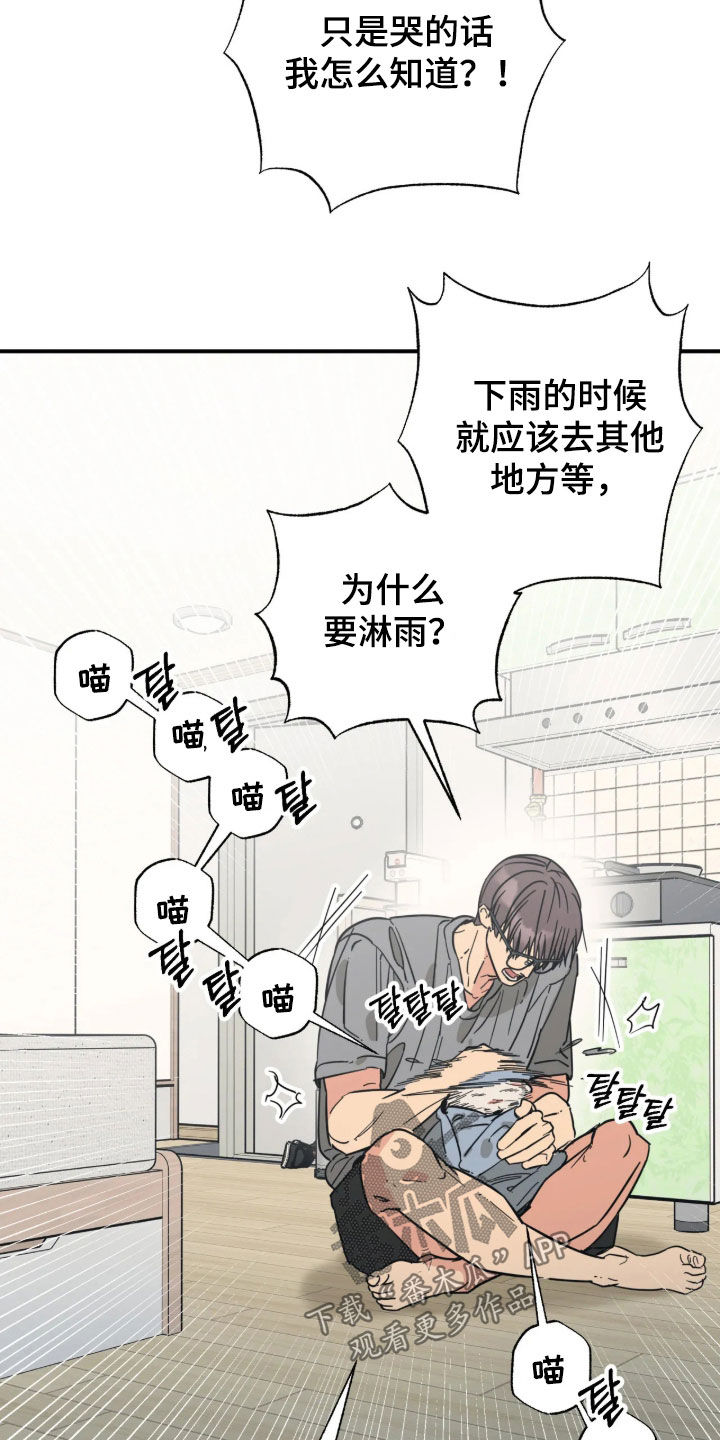 第47话 第3页