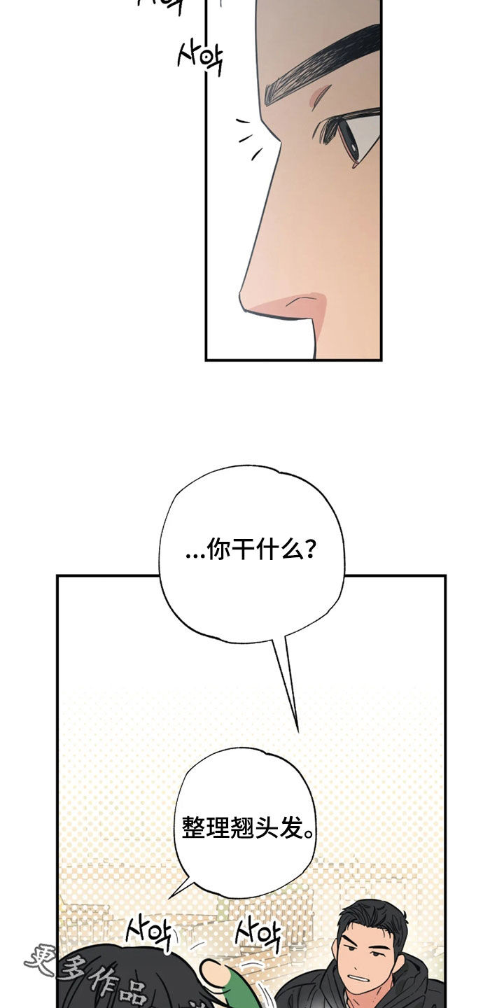 第51话 第29页