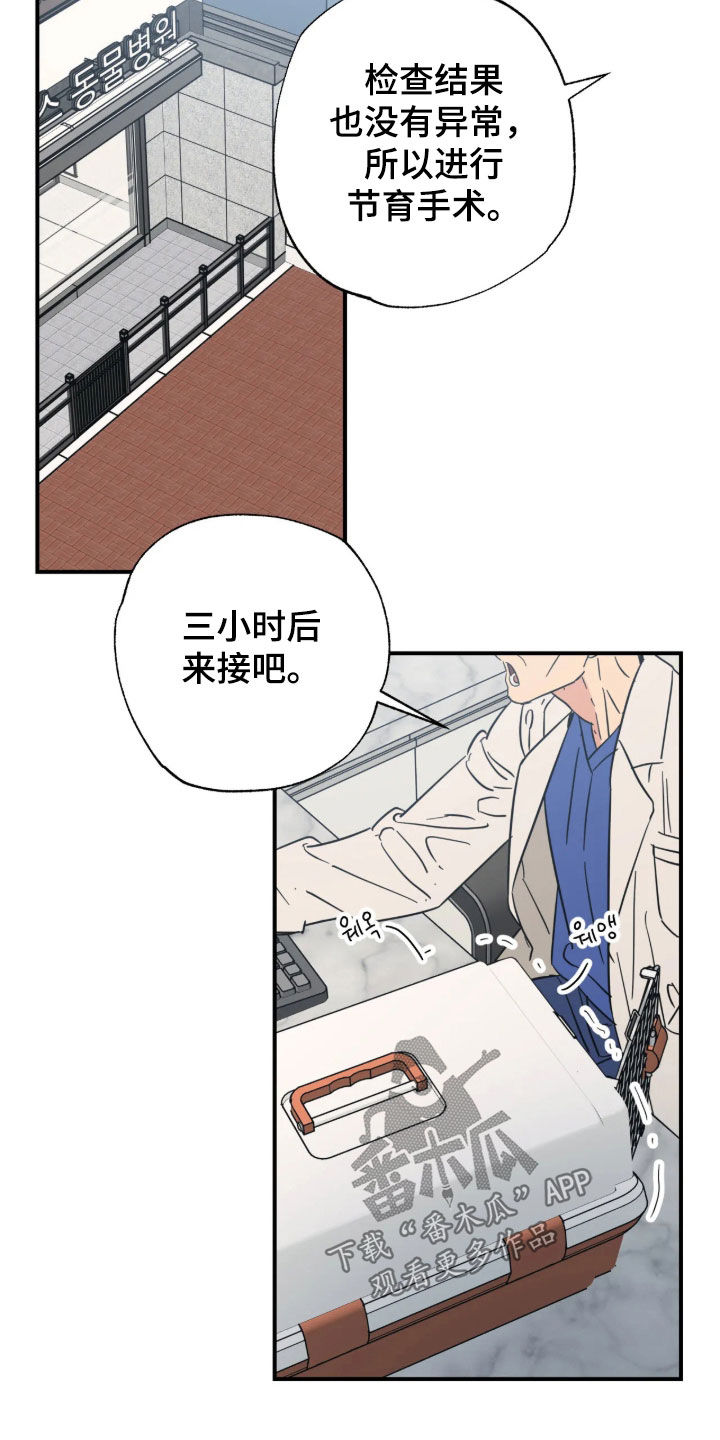 第50话 第19页