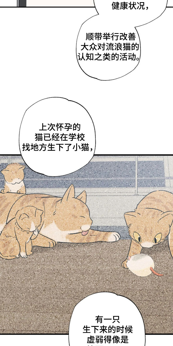 第49话 第15页