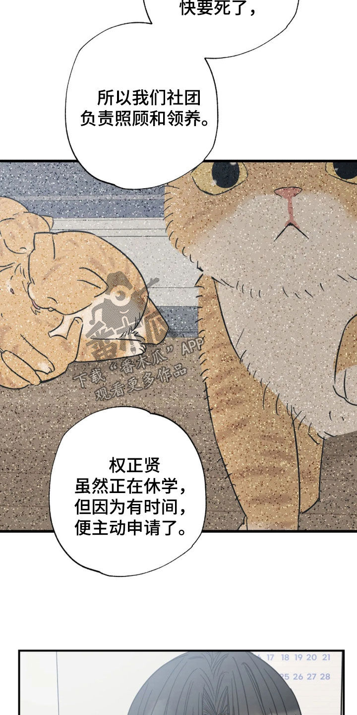 第49话 第16页