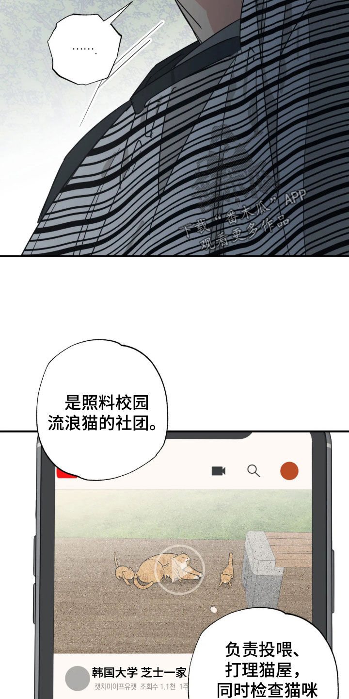第49话 第14页