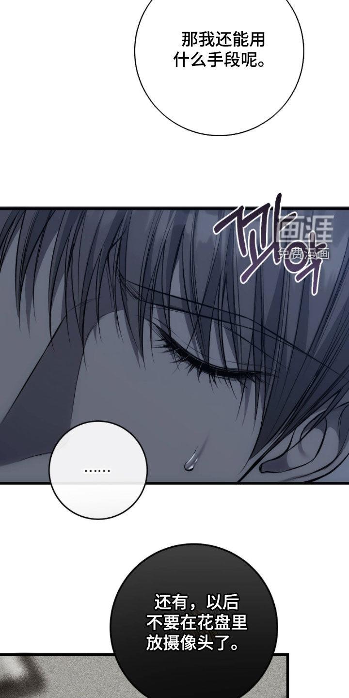 第113话17
