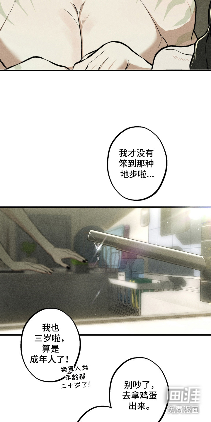 第11话13