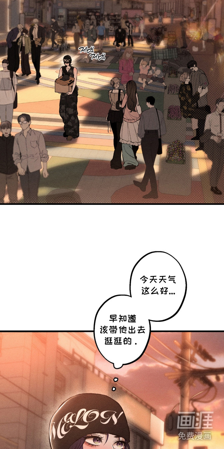 第11话17