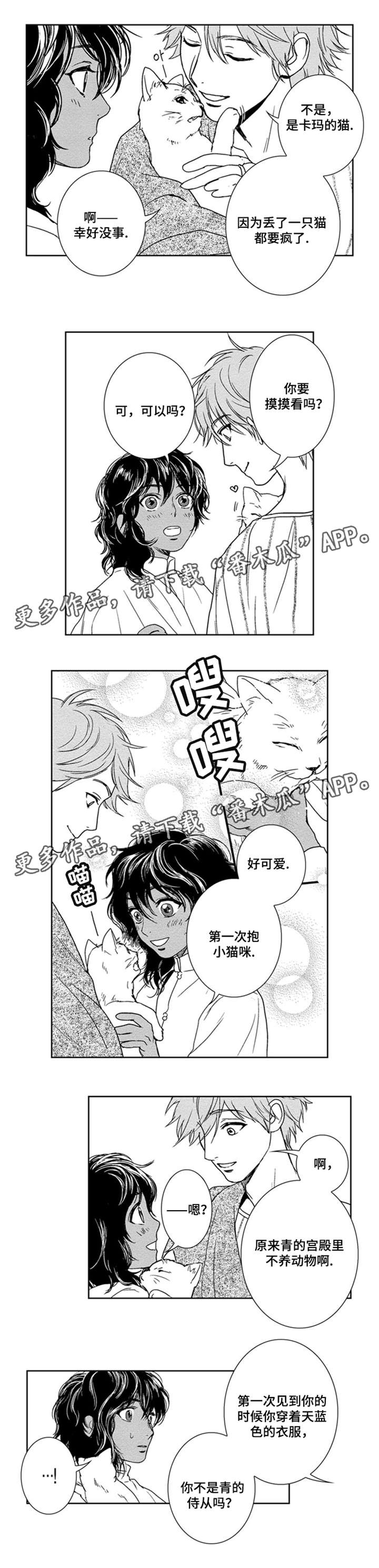 第11话6