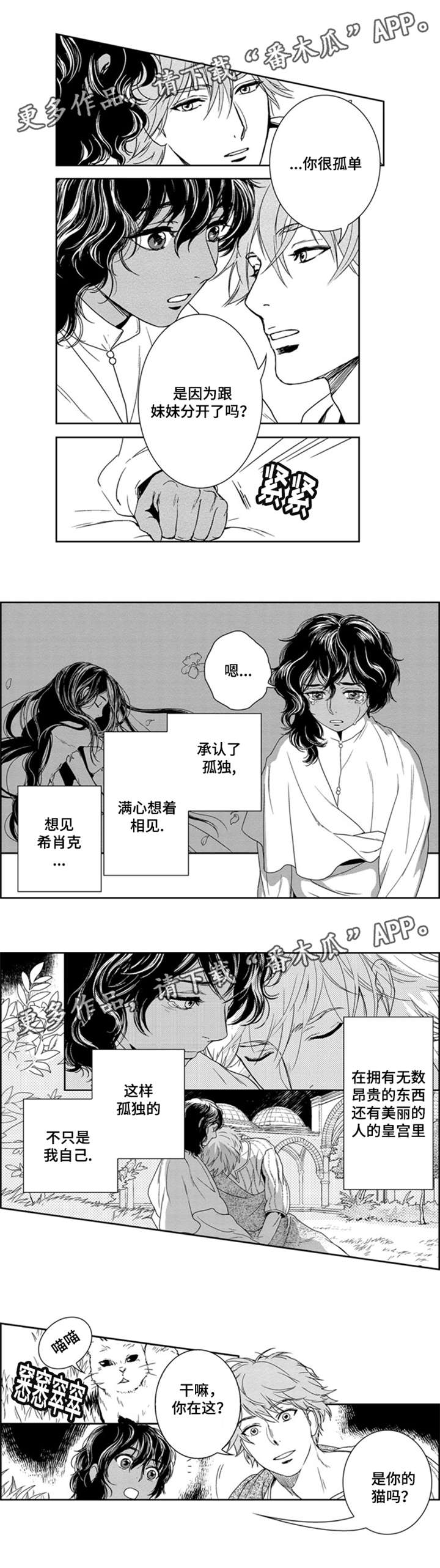 第11话5