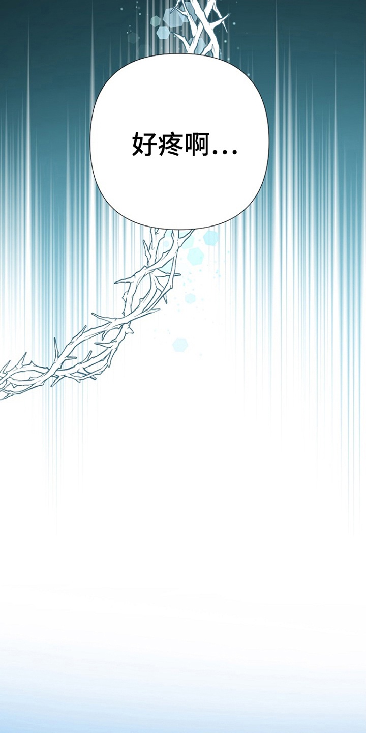 第5话11