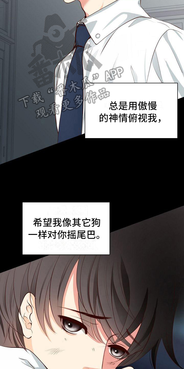 第9话6