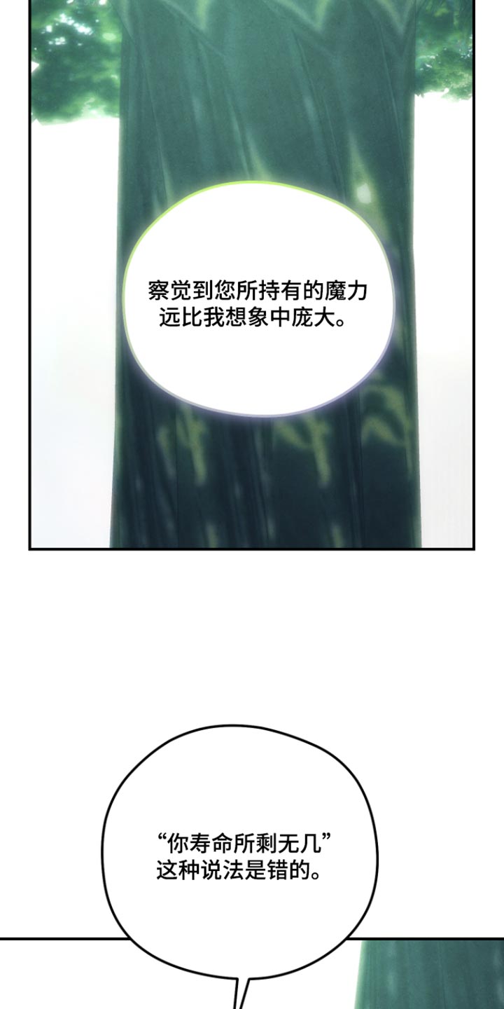 第75话 第31页