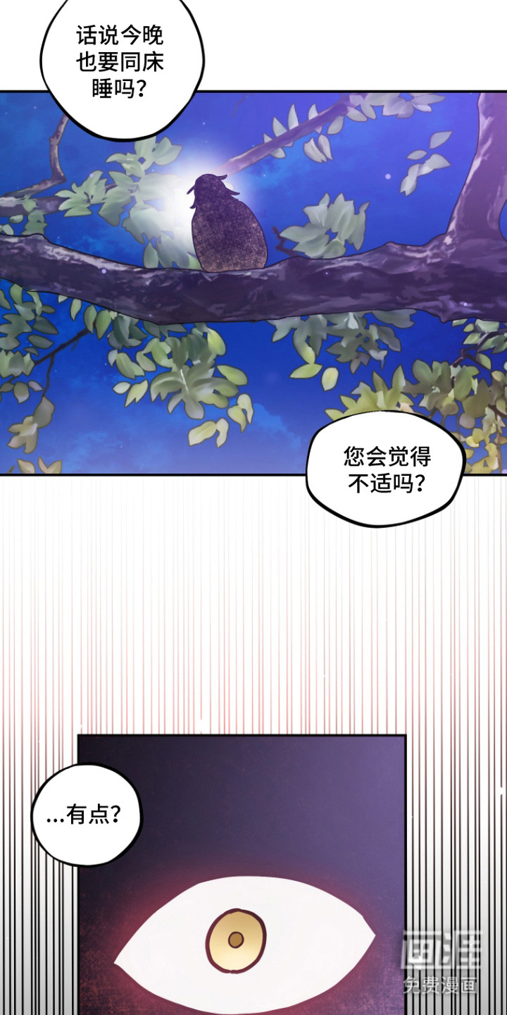 第14话 第19页