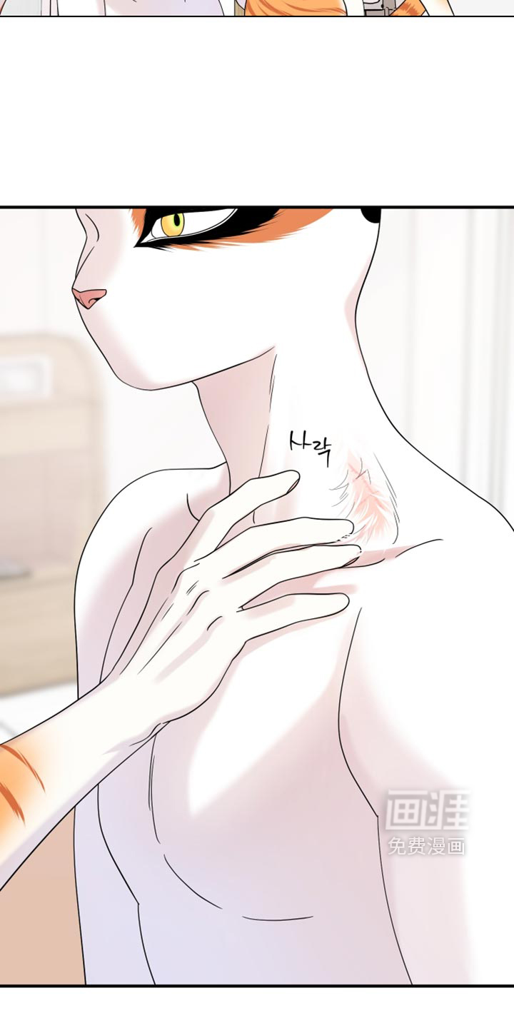 第222话3