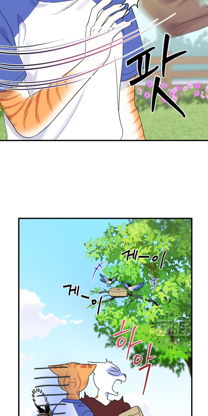 第222话12