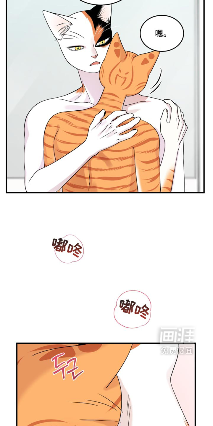 第222话5