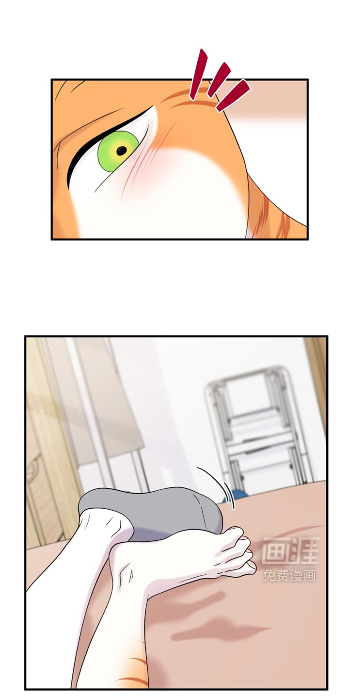 第222话0