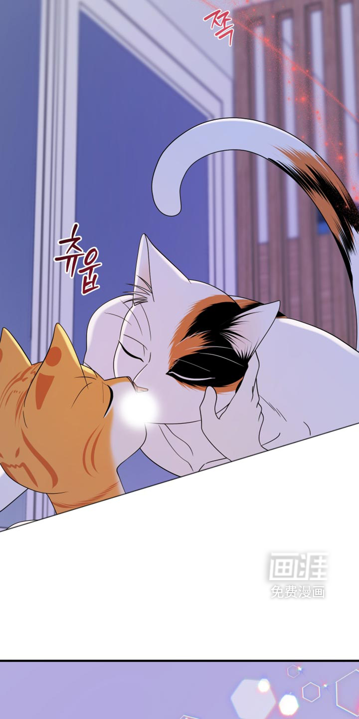 第222话18