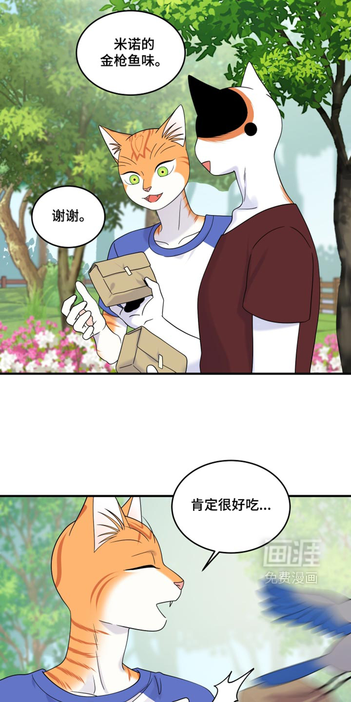 第222话11