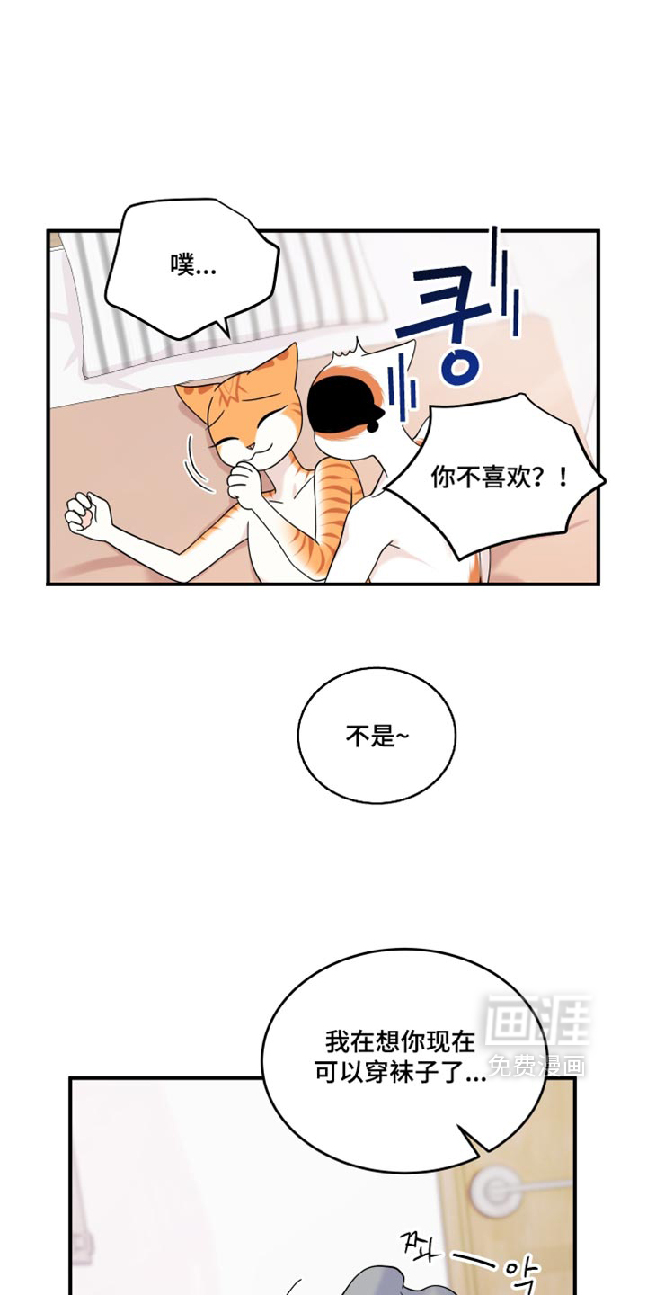 第222话1