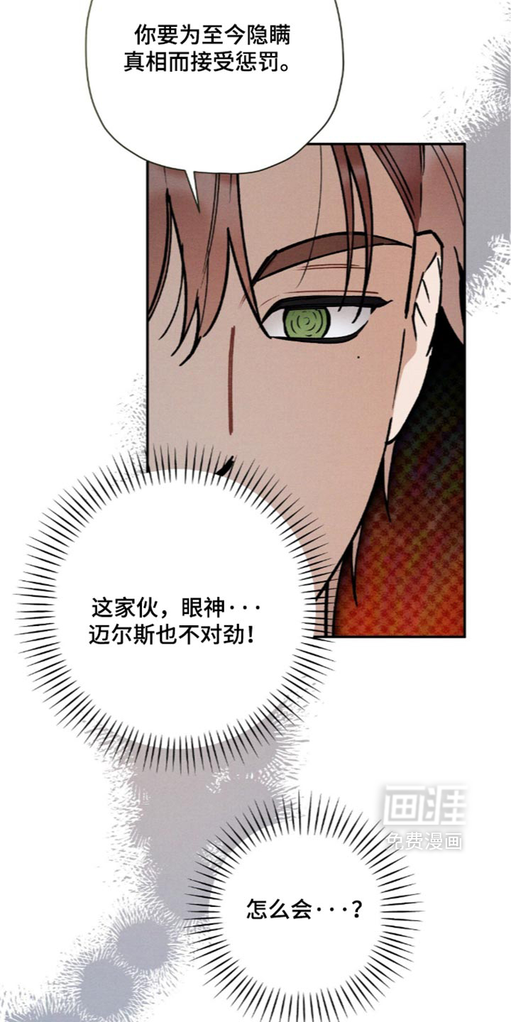 第231话7