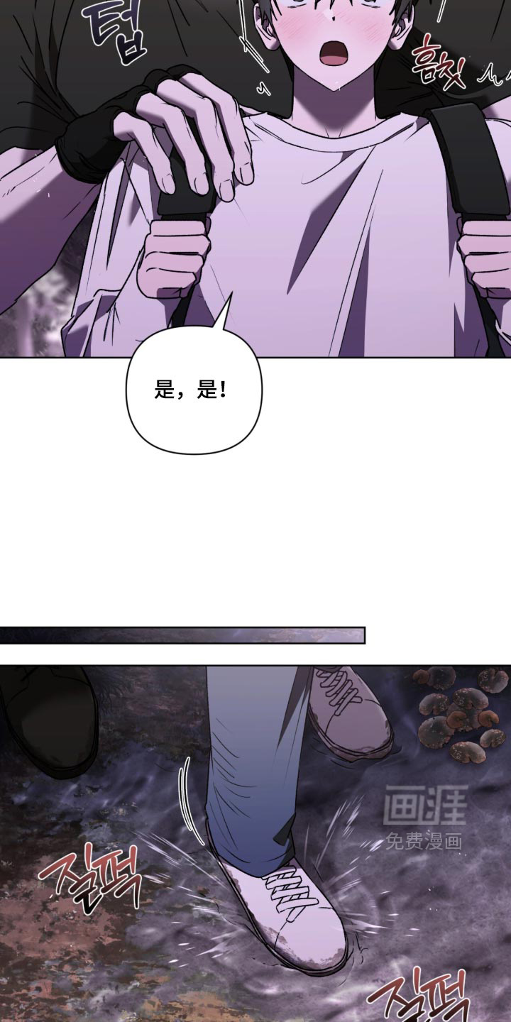 第47话 第13页