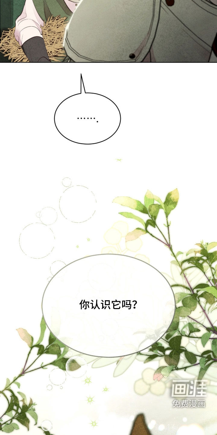 第57话 第17页