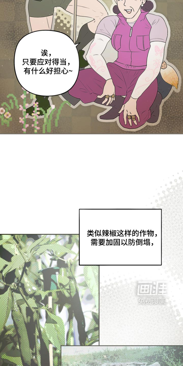 第21话 第3页